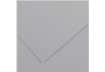 Immagine di Foglio Colorline 50x70 cm Grigio chiaro