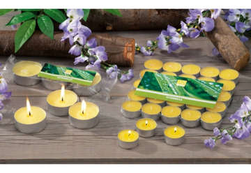 Immagine di Candele tea light citronella 3.6cm diametro