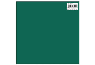 Immagine di Foglio carta regalo 70x100 Verde Scuro